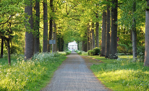 Eyckenstein-gezichtslaan