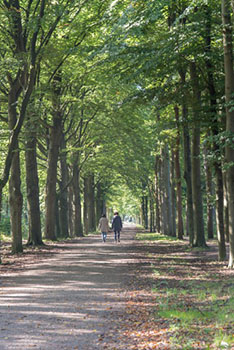 Wandelen-op-Eyckenstein