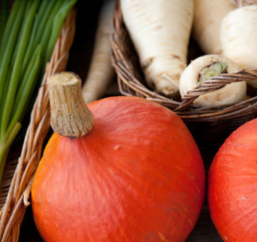 Eyckenstein_moestuin3