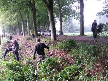 vrijwilligers-steeg