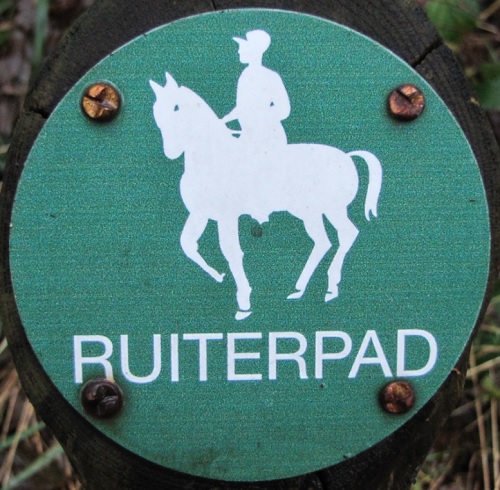 Paarden toegestaan 500