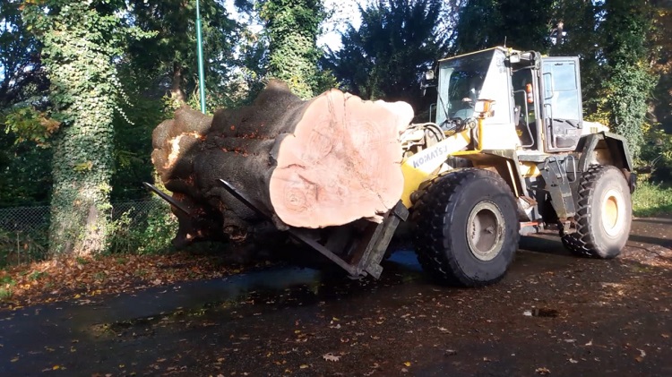 Buitenwerkdag 20161105 beuk op shovel - 750