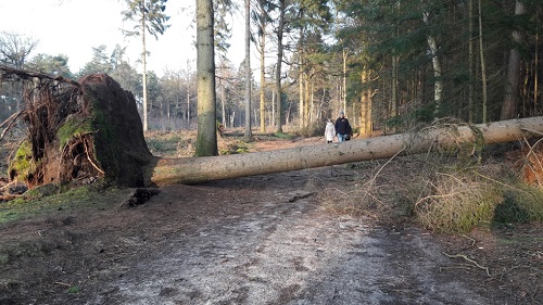 stormschade-0103-20180114_152435-500