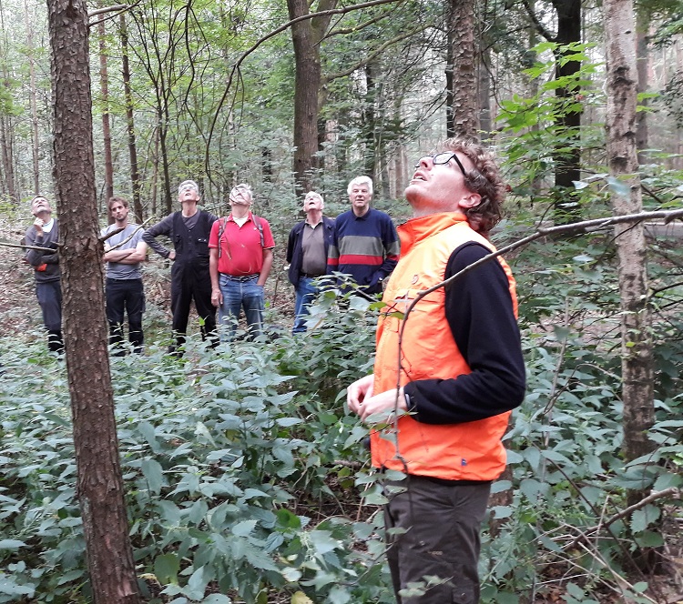 training-bosbeheer-01-750