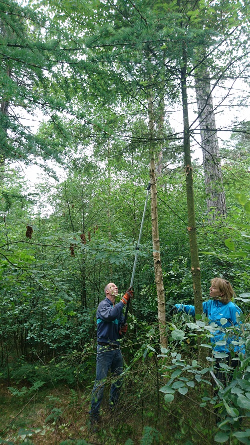 training-bosbeheer-03-500