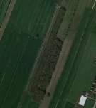 Dassenbosje - 135 Dassenbosje - 135