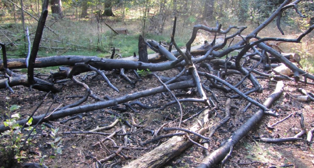 Vandalisme en andere onwenselijkheden in het bos