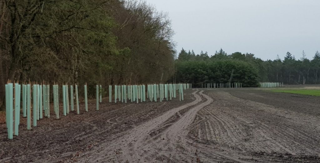 Voortgang omvorming Boetzelaersveld