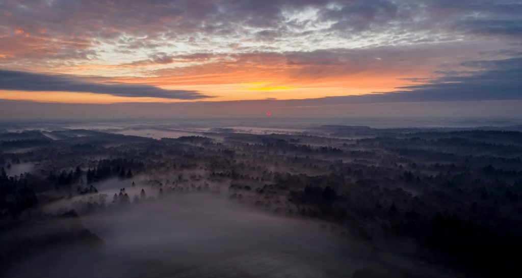 Dronebeelden van het Boetzelaersveld